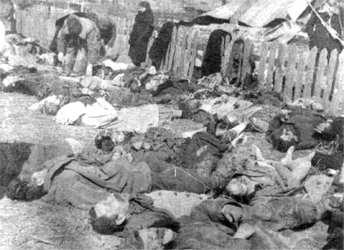 Photo: massacred Poles during the Volhynia Massacre in Lipniki (1943).